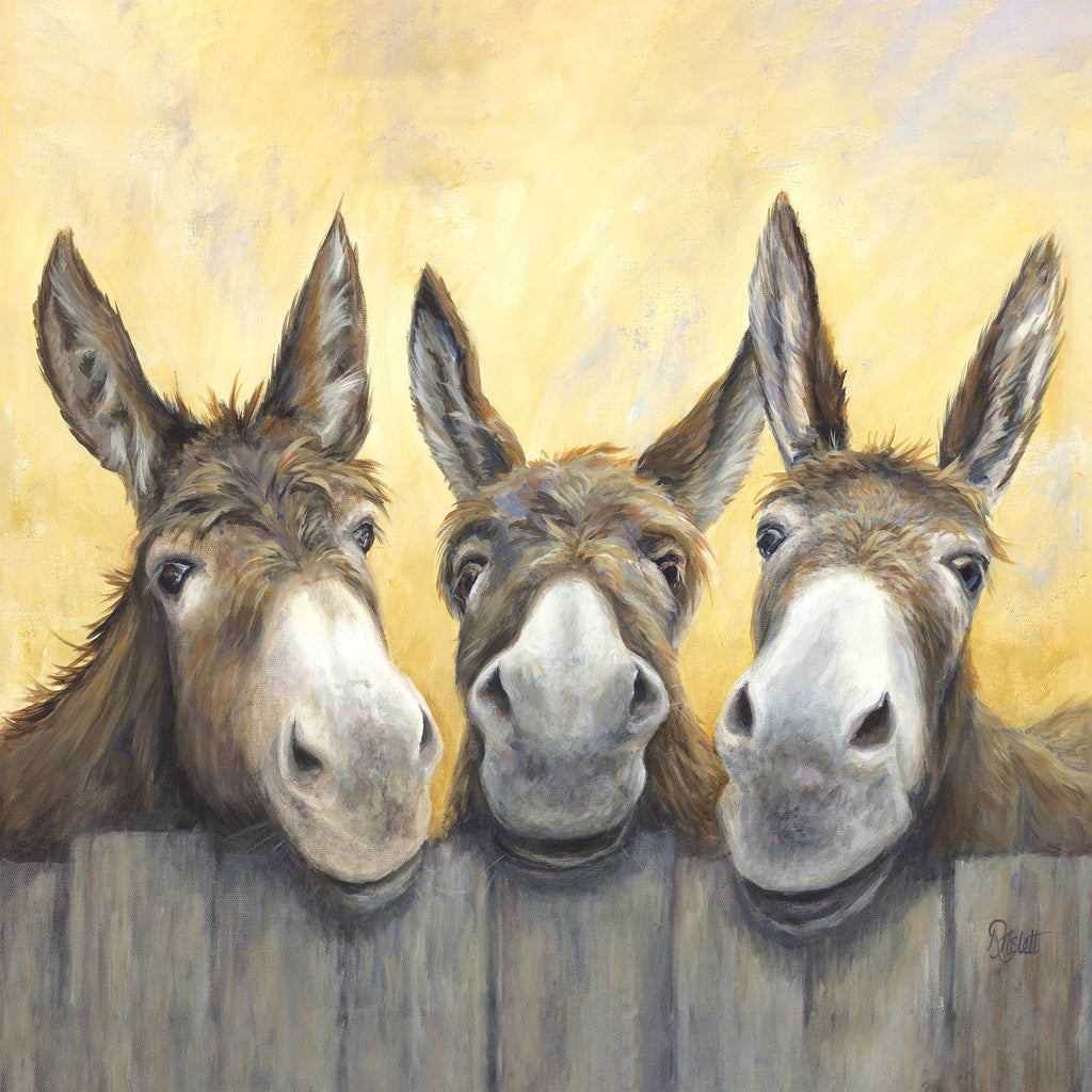 Donkeys Over The Fence Canvas Picture