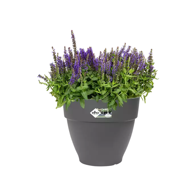 Vibia Campana Round Planter Anthracite with Flowers