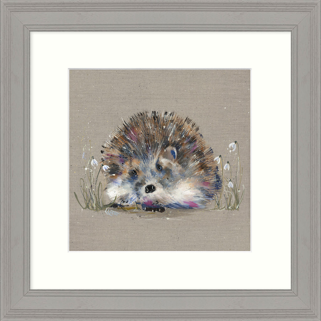 Hedgehog and Snowdrops 