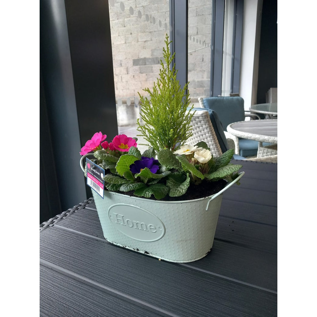 Oval Home Flower Planter with Ear Handles Mint - front of the planter