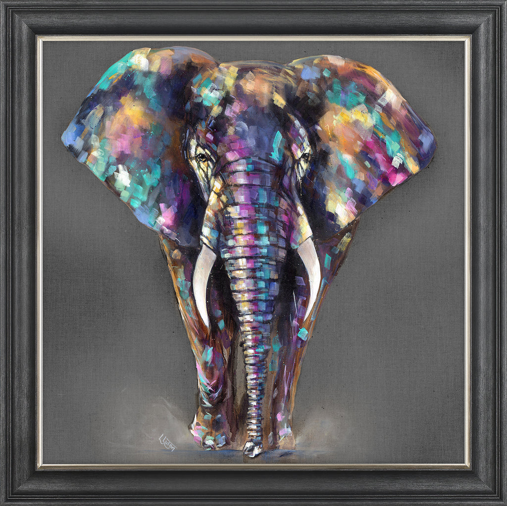 Hugo SE Multi colour elephant