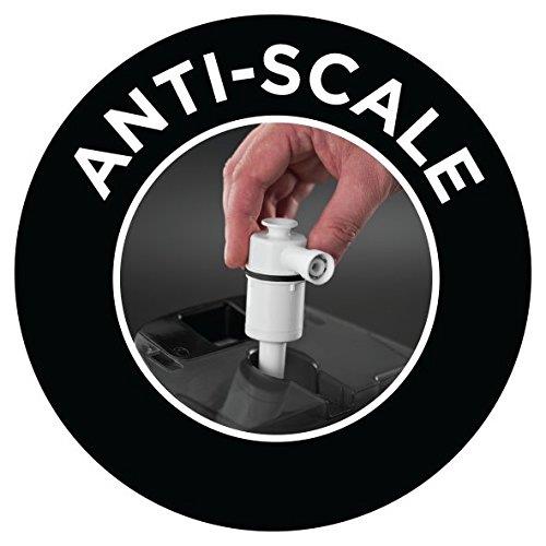anti-scale