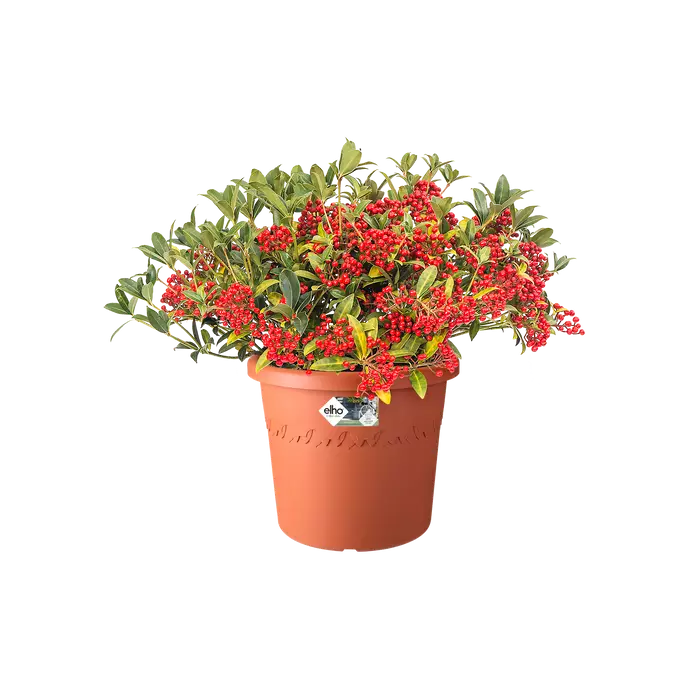 Cilindro 35cm Flowerpot Terra with flowers