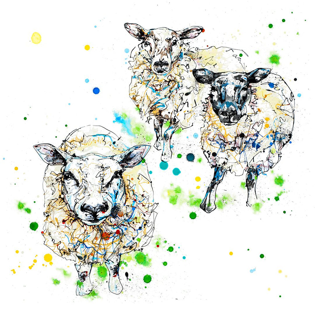 All Ears – Limited Edition Sheep Picture Kathryn Callaghan