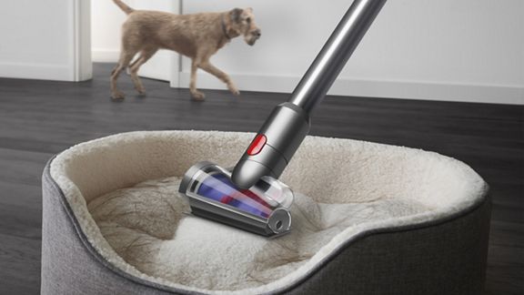 Dyson V12 Absolute Detect Vacuum Cleaner dog bed