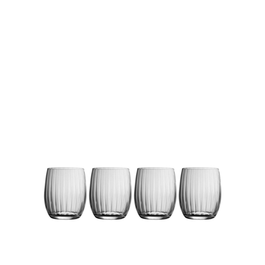 Crystal Erne Tumbler Set of 4